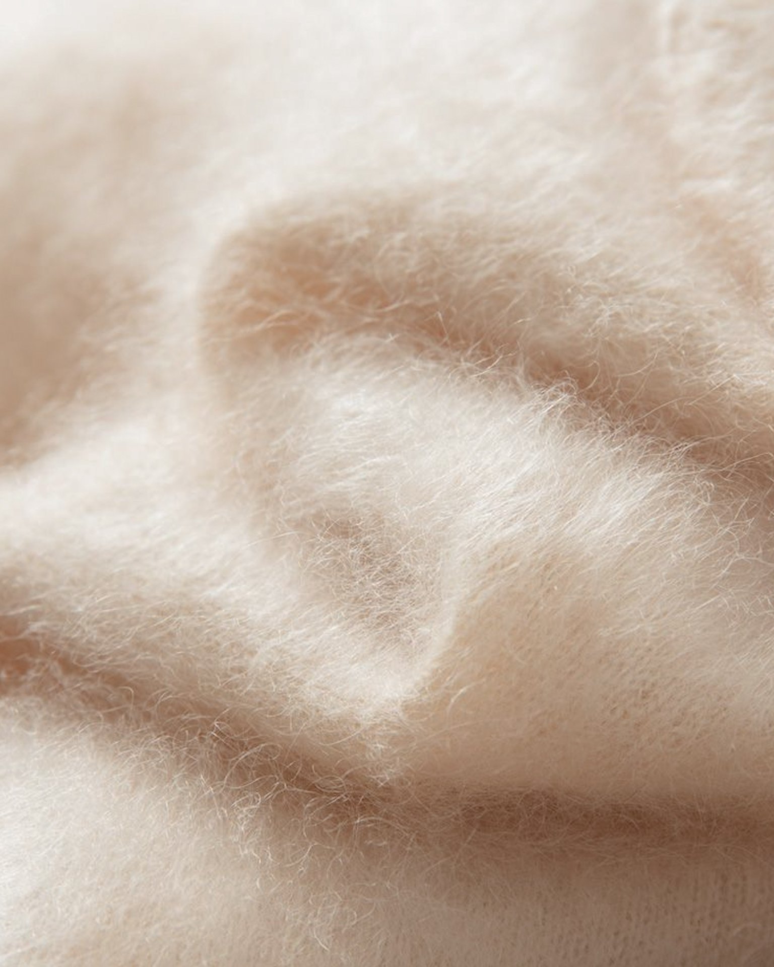 Screenshot 2026-02-04 at 4.26.06 PM.jpg