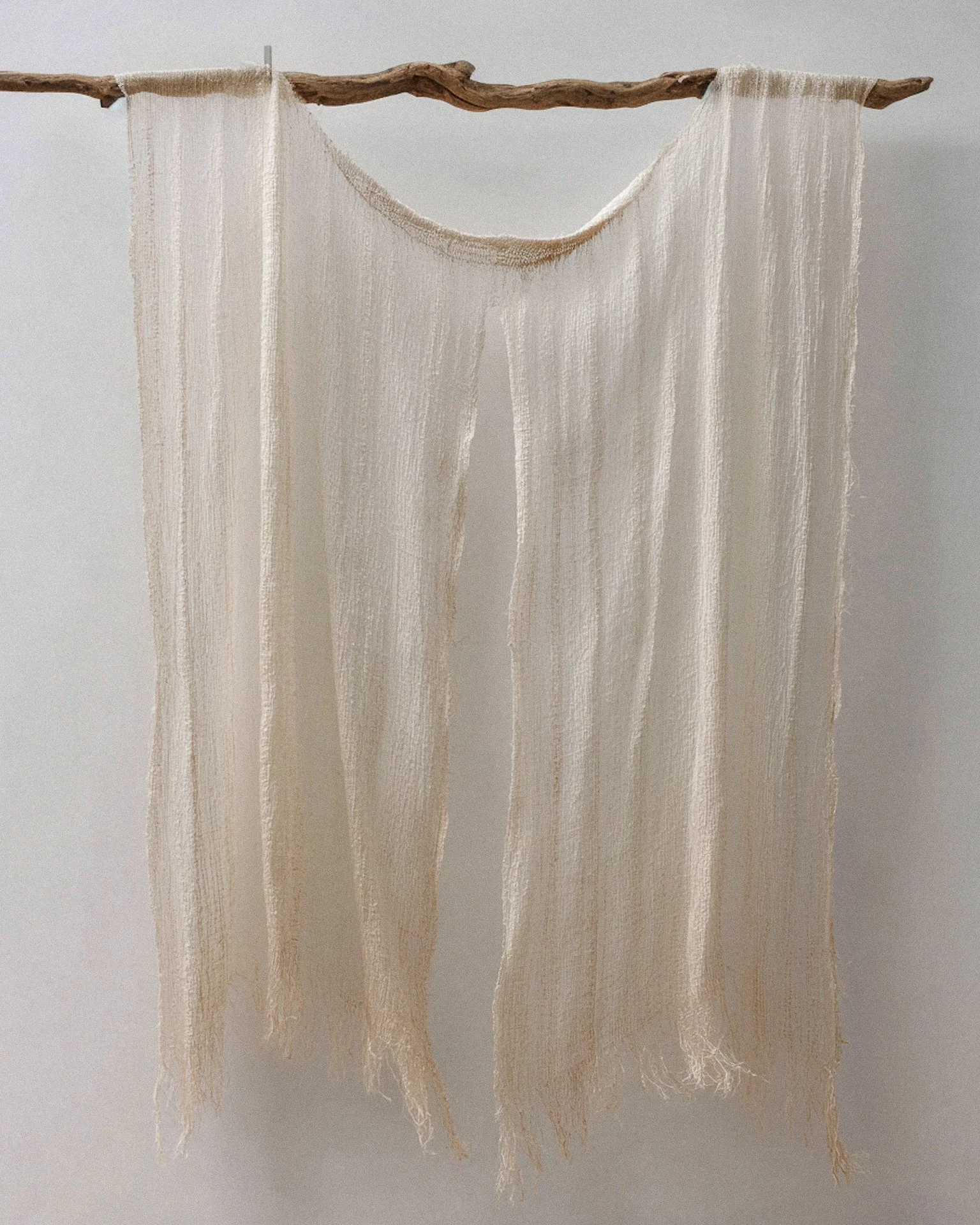 Screenshot 2026-01-22 at 3.46.38 AM.jpg