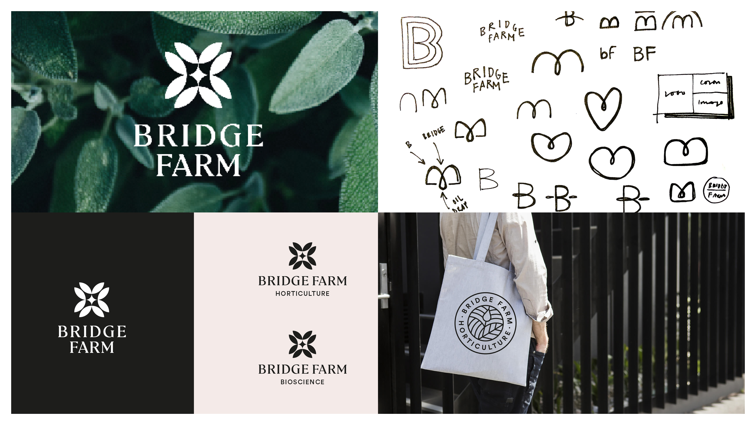 BridgeFarm__03.png
