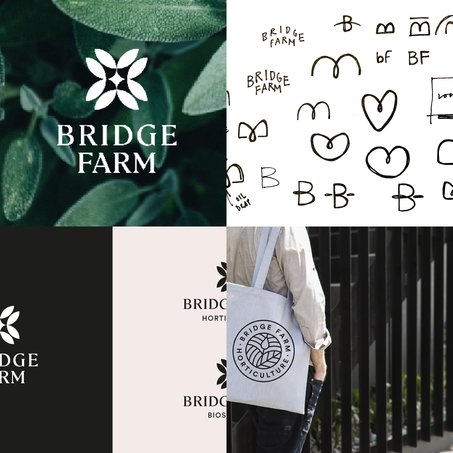 RH_Folio__03.png