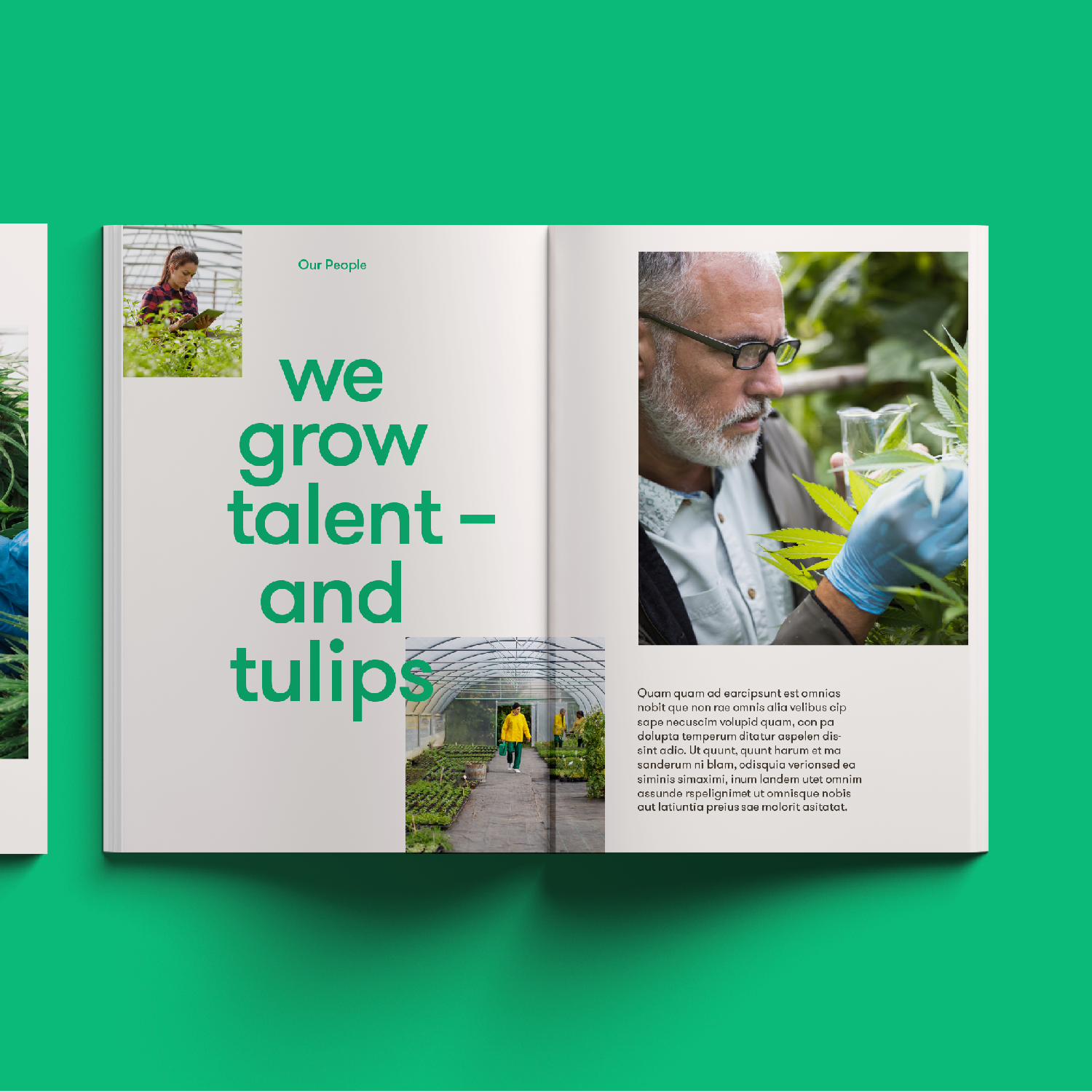RH_Folio__11.png