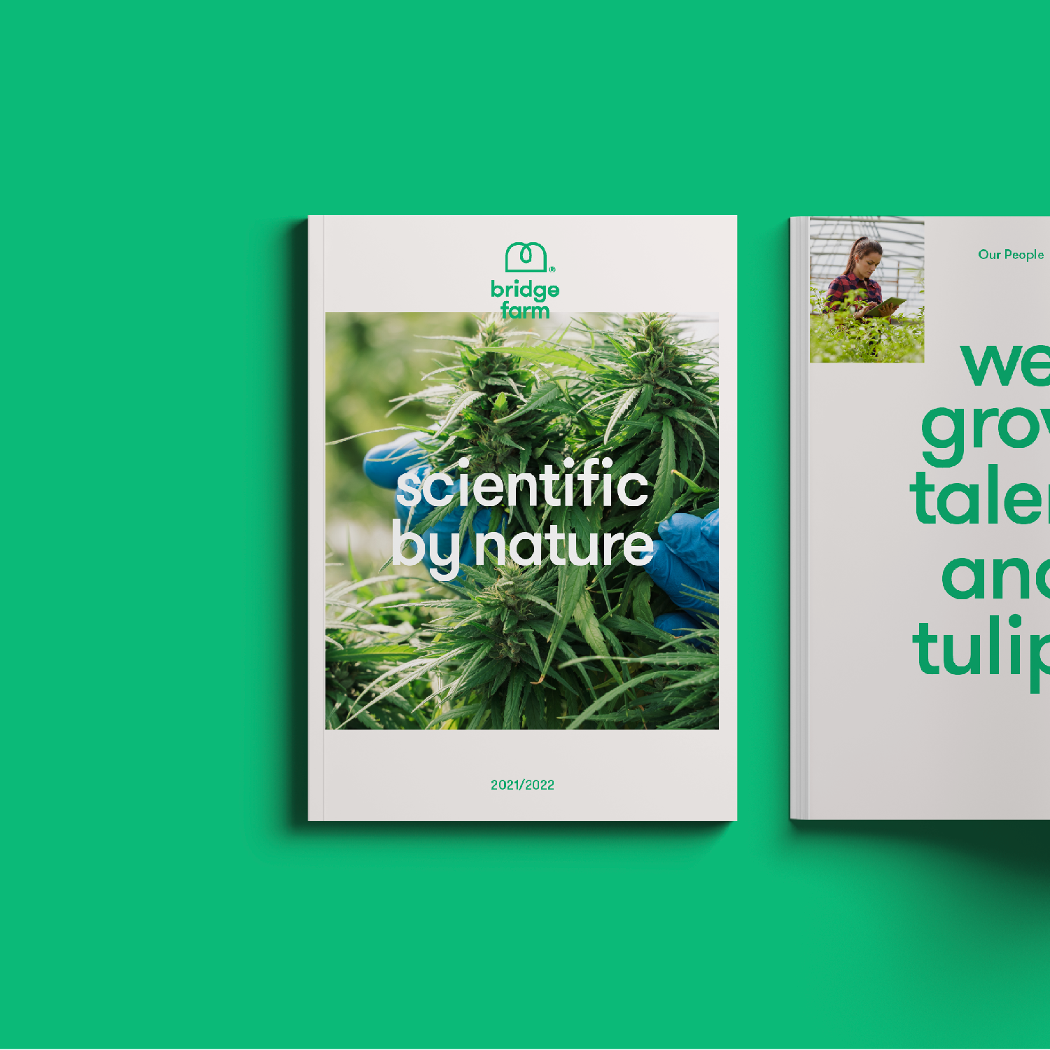 RH_Folio__12.png