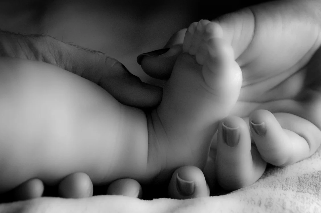 Newborn Portraits, Seattle Washington