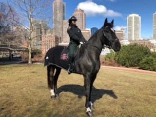 Park Ranger Mounted Unit Demonstration