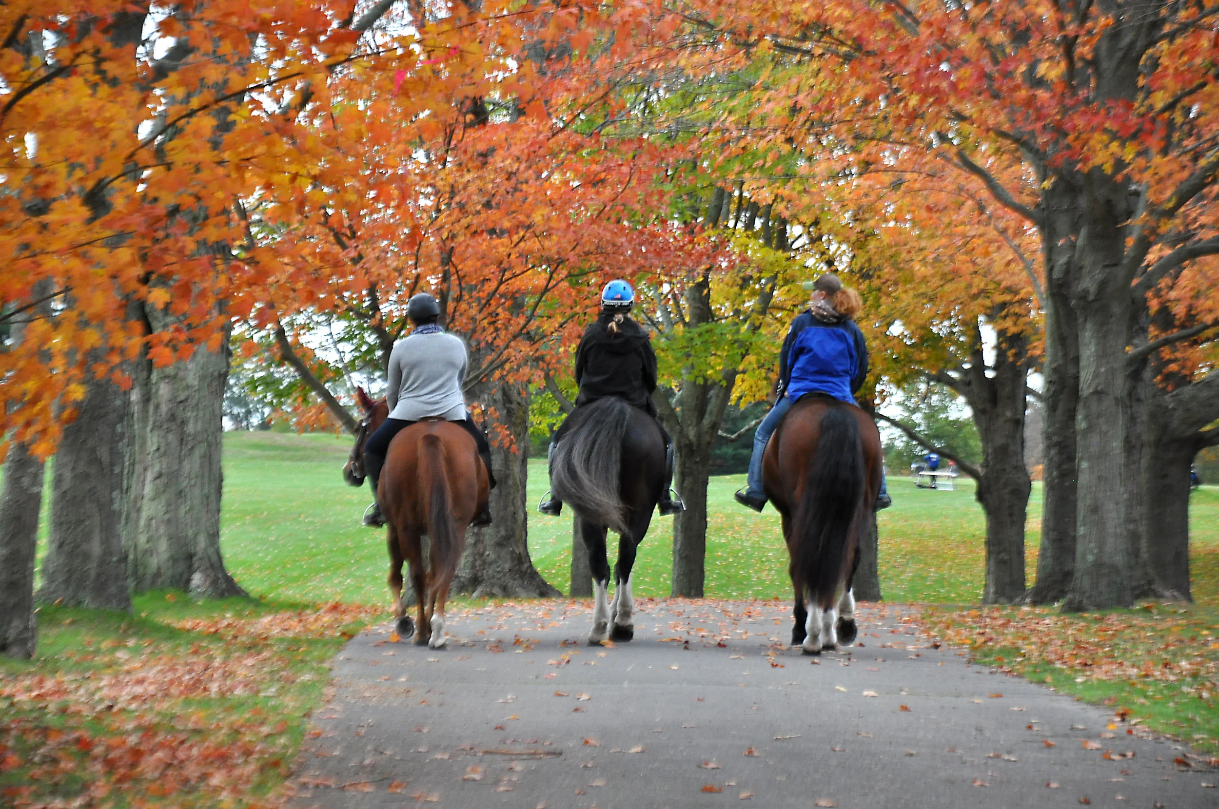 Fall Trail Ride Event - Blue Hills Reservation, Ponkapoag Pond Area