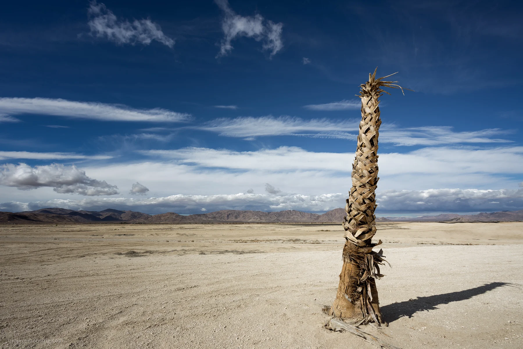 Totem.jpg