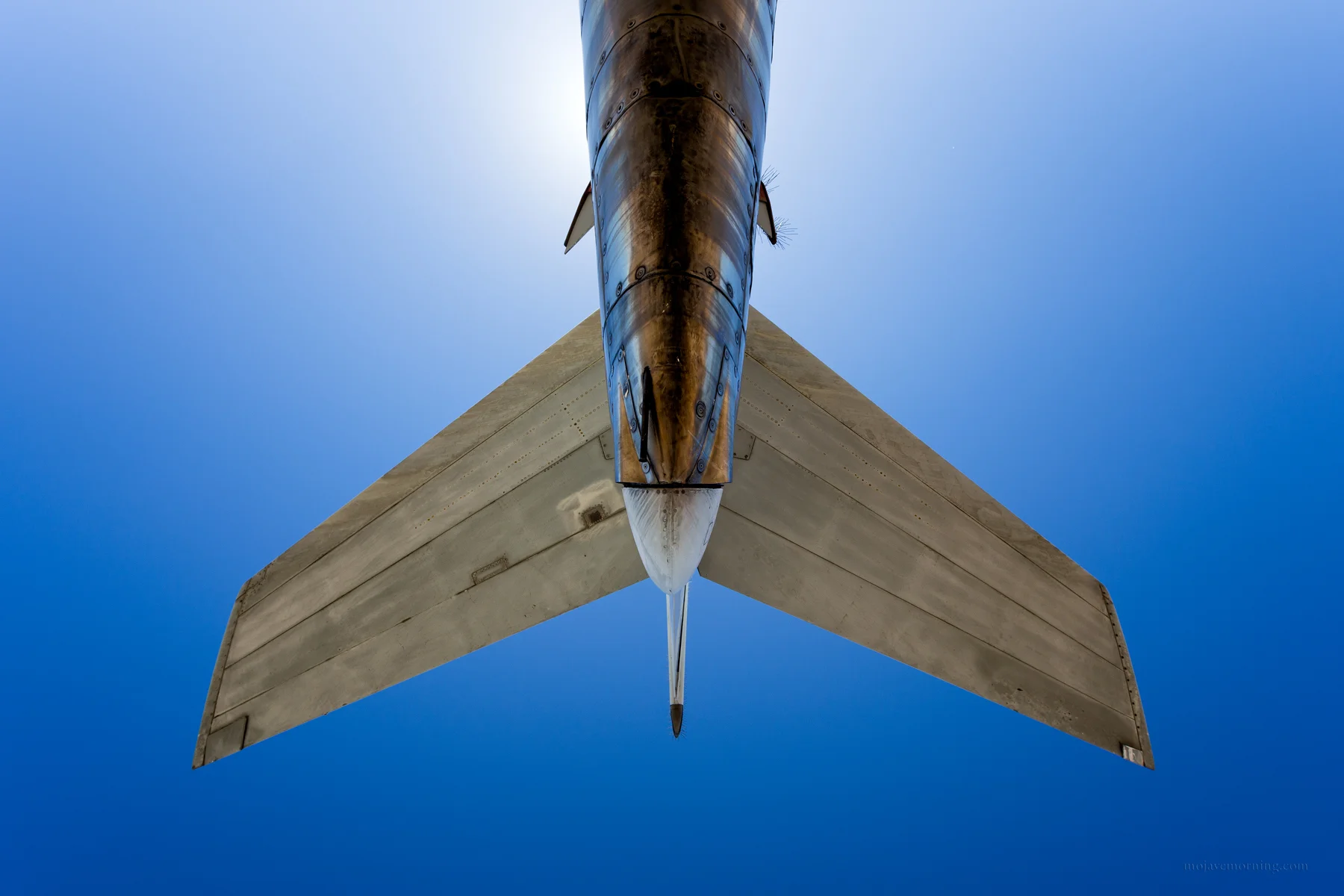 Tail.jpg
