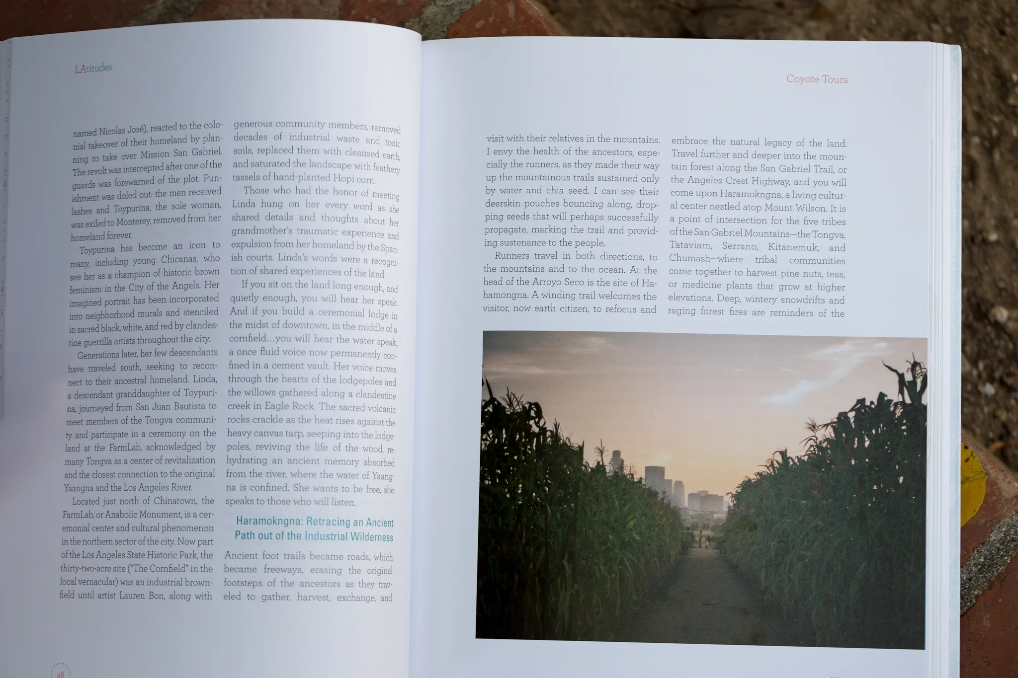 Nice big half-pager. Credits are never guaranteed; in this case they are in a graphic index in the back.