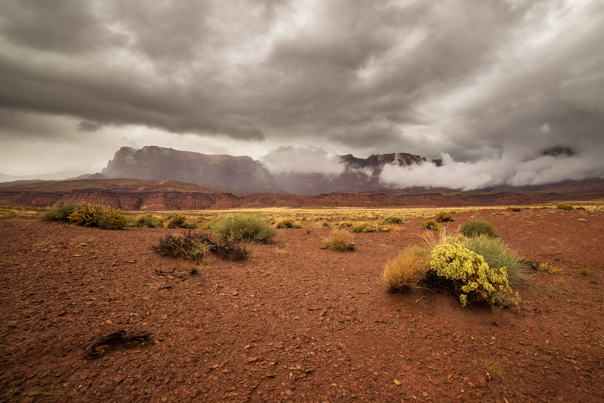 Utah Storm