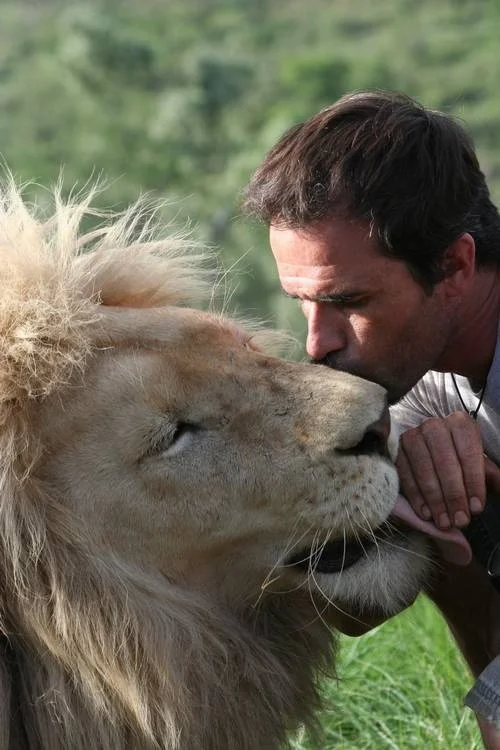 Lights, Camera, Lions!