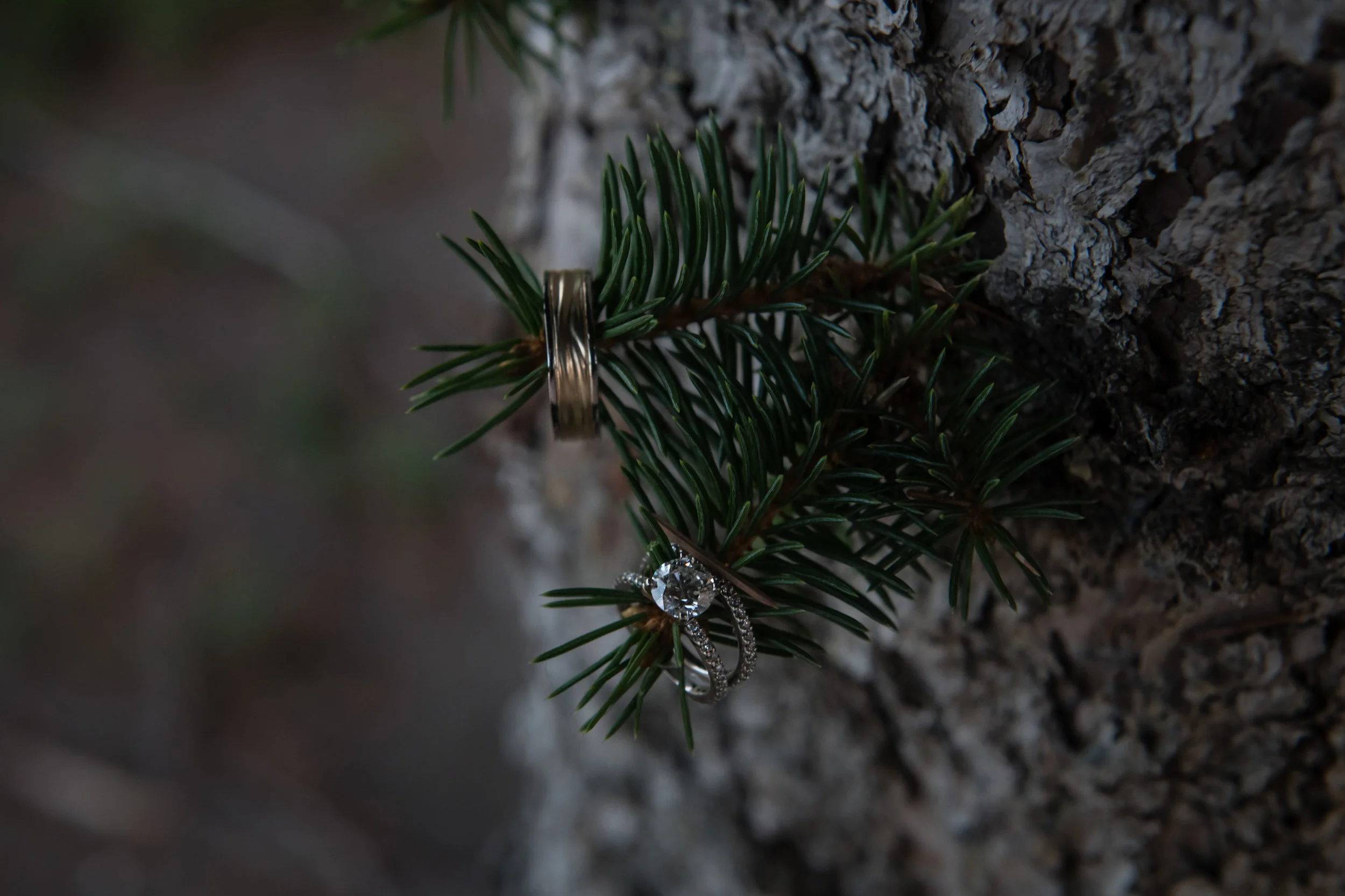 Laura_Danny_Wedding_Sneak_Peek_099.jpg