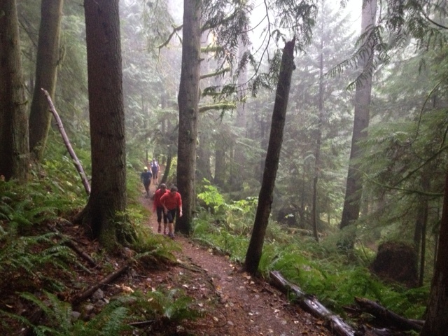 Becoming one with the trail at Tiger Mountain. 