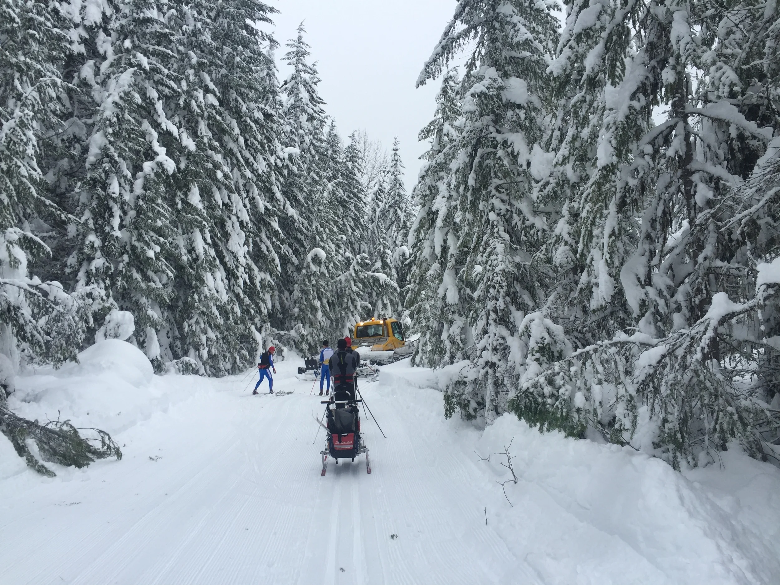 Catching first tracks behind the groomer. 