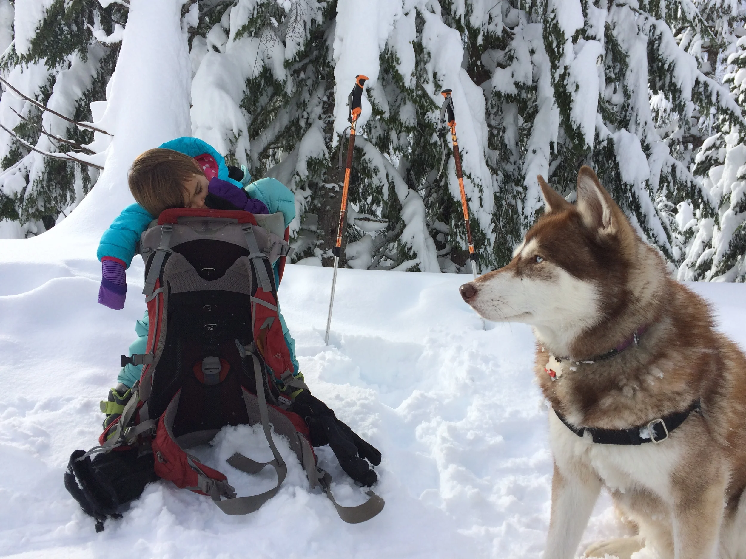 Skiing is hard work!