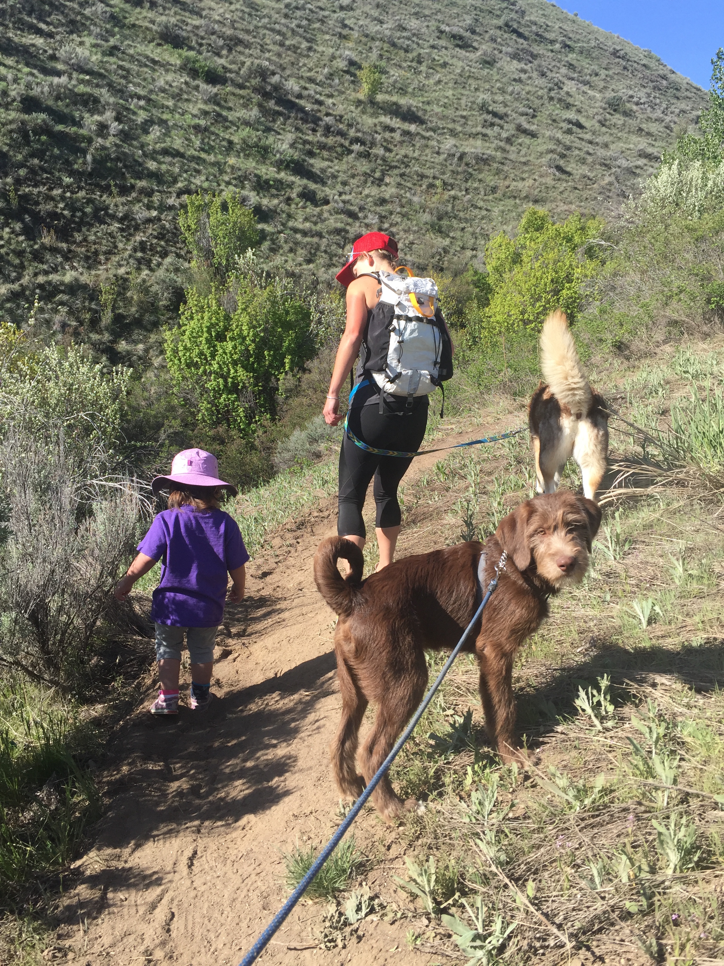 Fi takes a hike with Ashley, Theo, or Nikki and the uphill