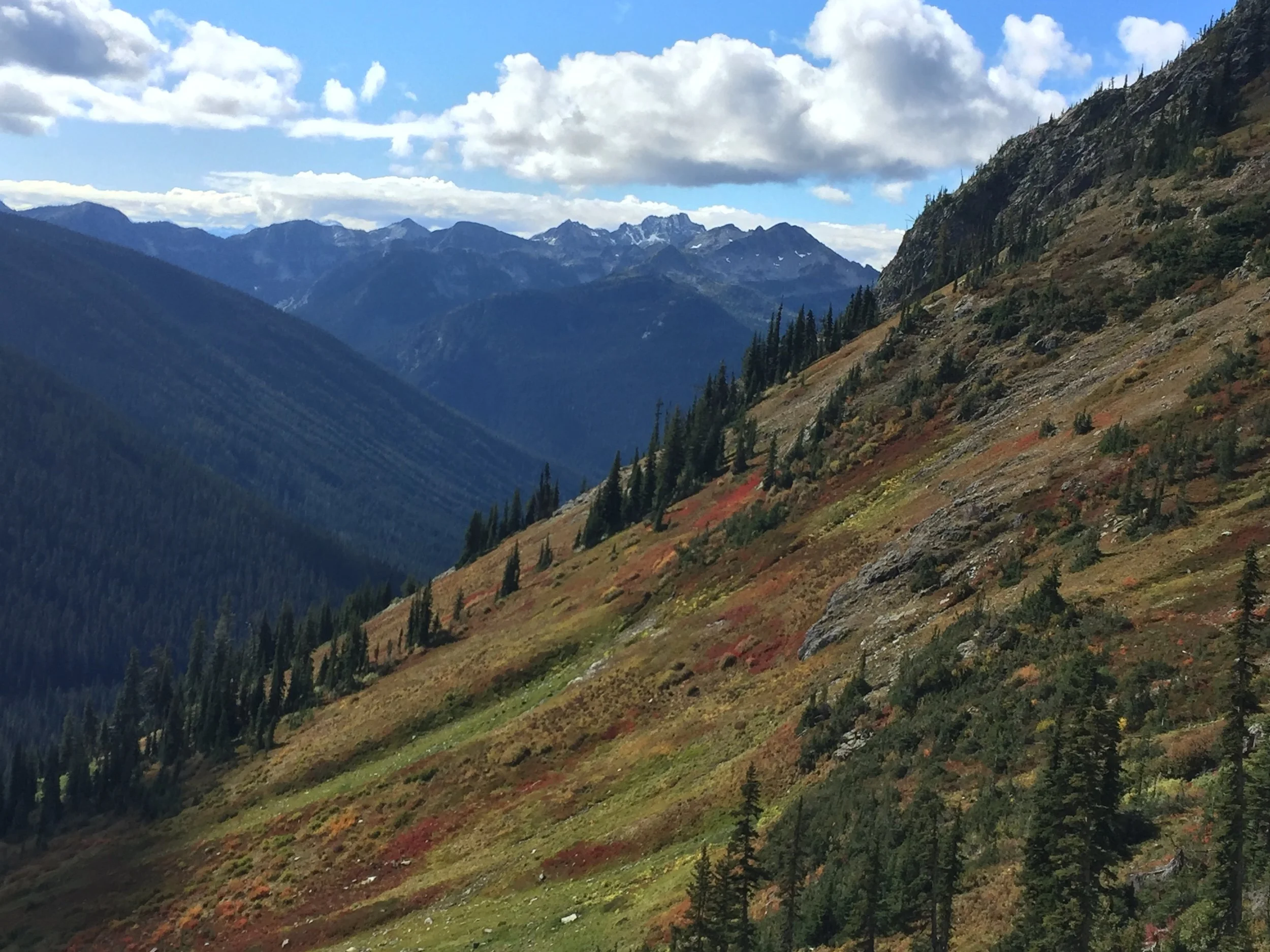This slope is a classic spot for skiing in the winter: bring it!