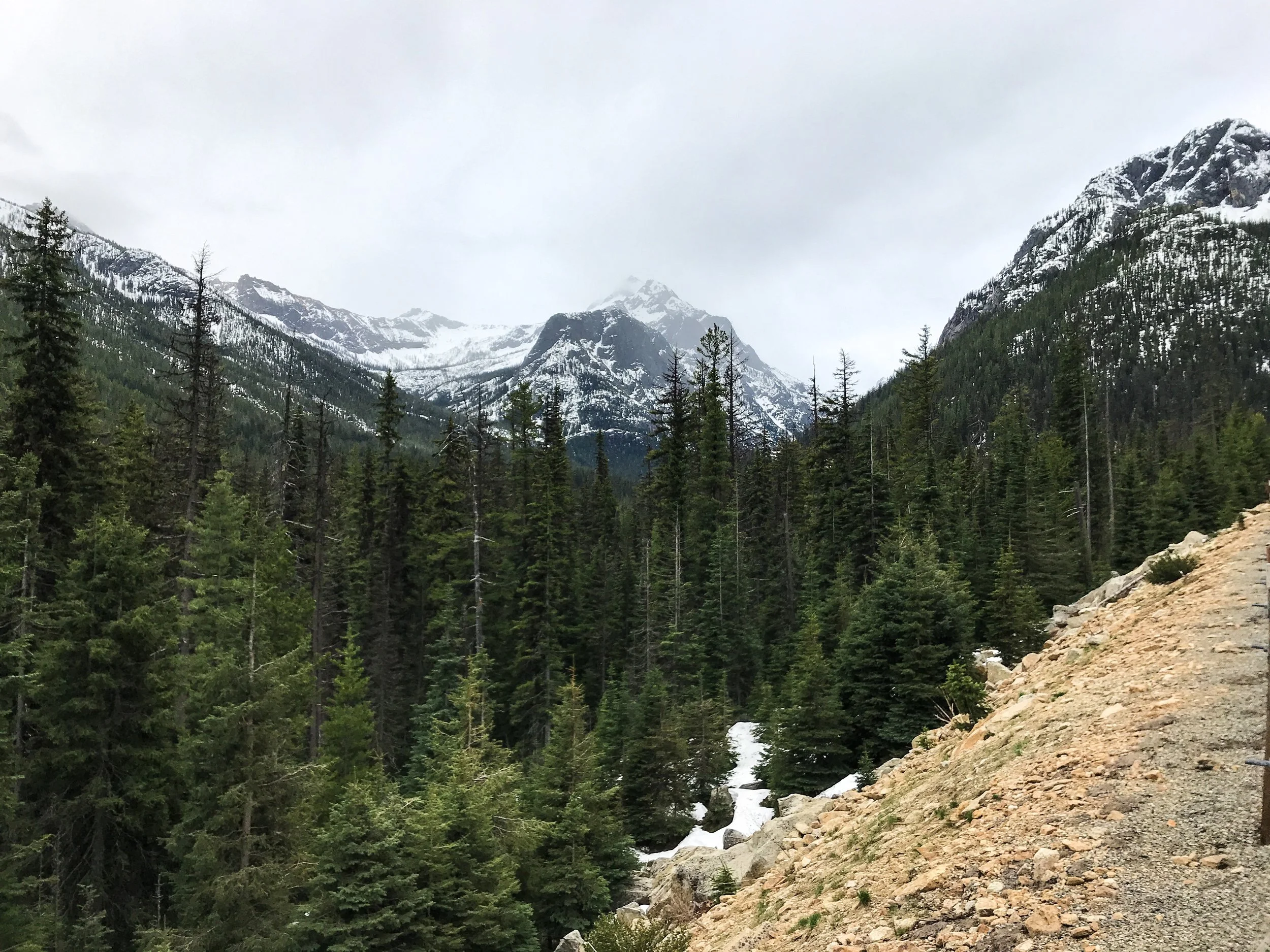 On the way up the North Cascades Highway