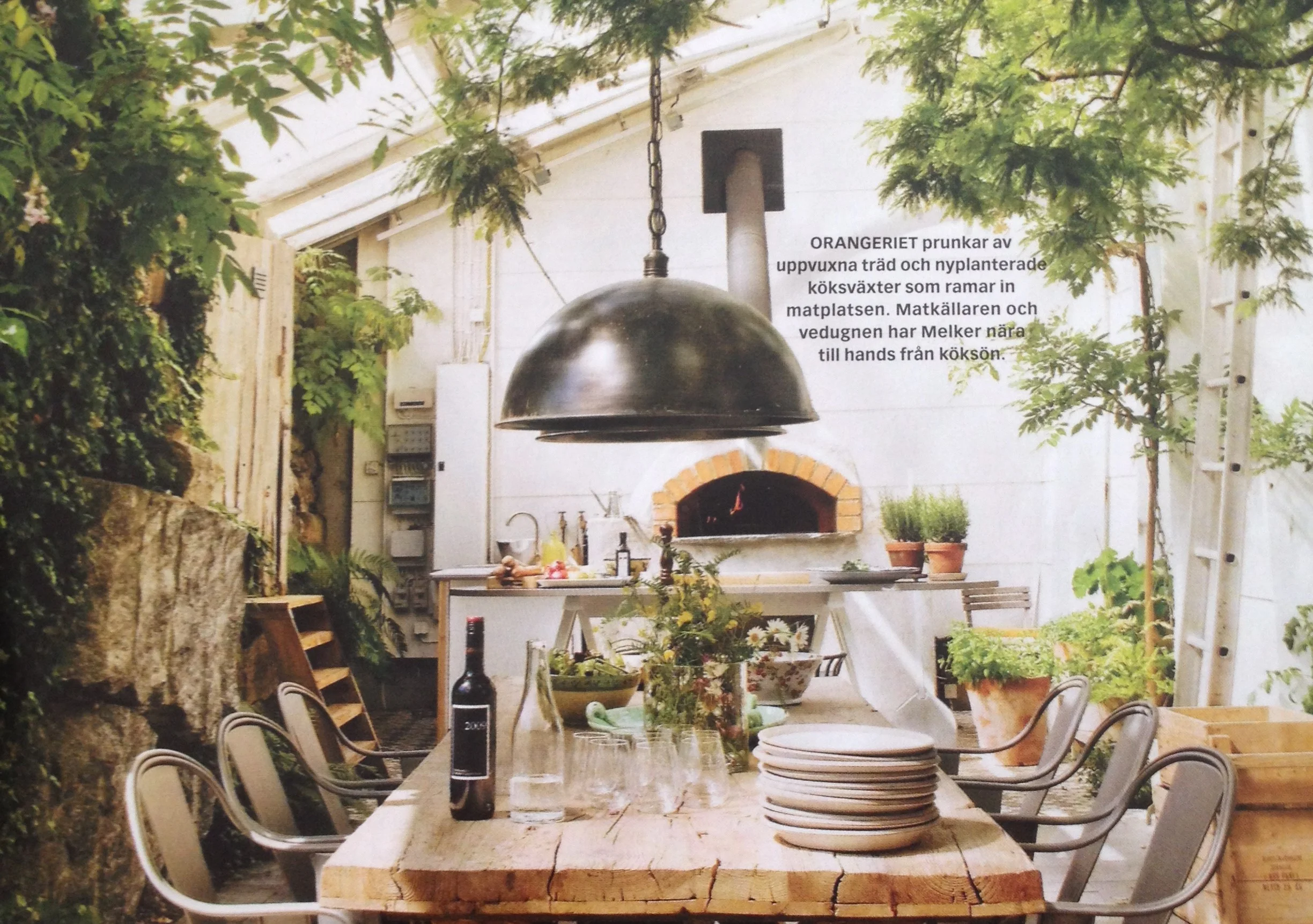 bild (12).JPG