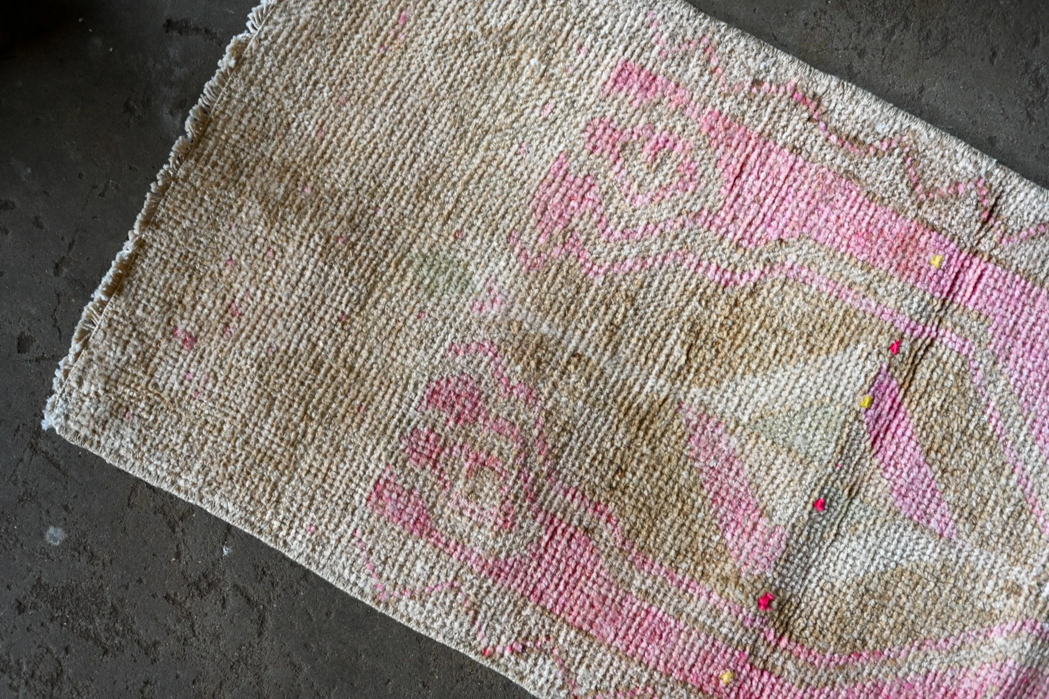 DSC_7582.JPG