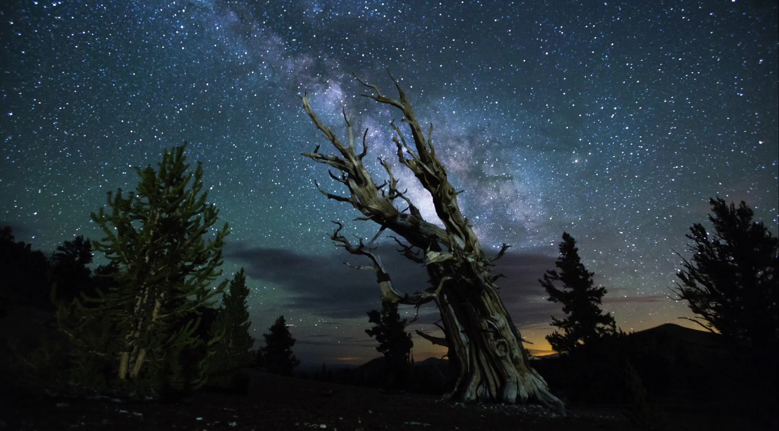 Music Video for "Above"