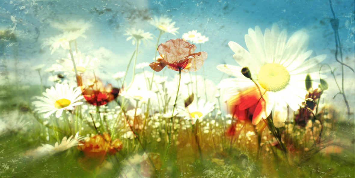 SPREAD IMAGEsmall copy.png