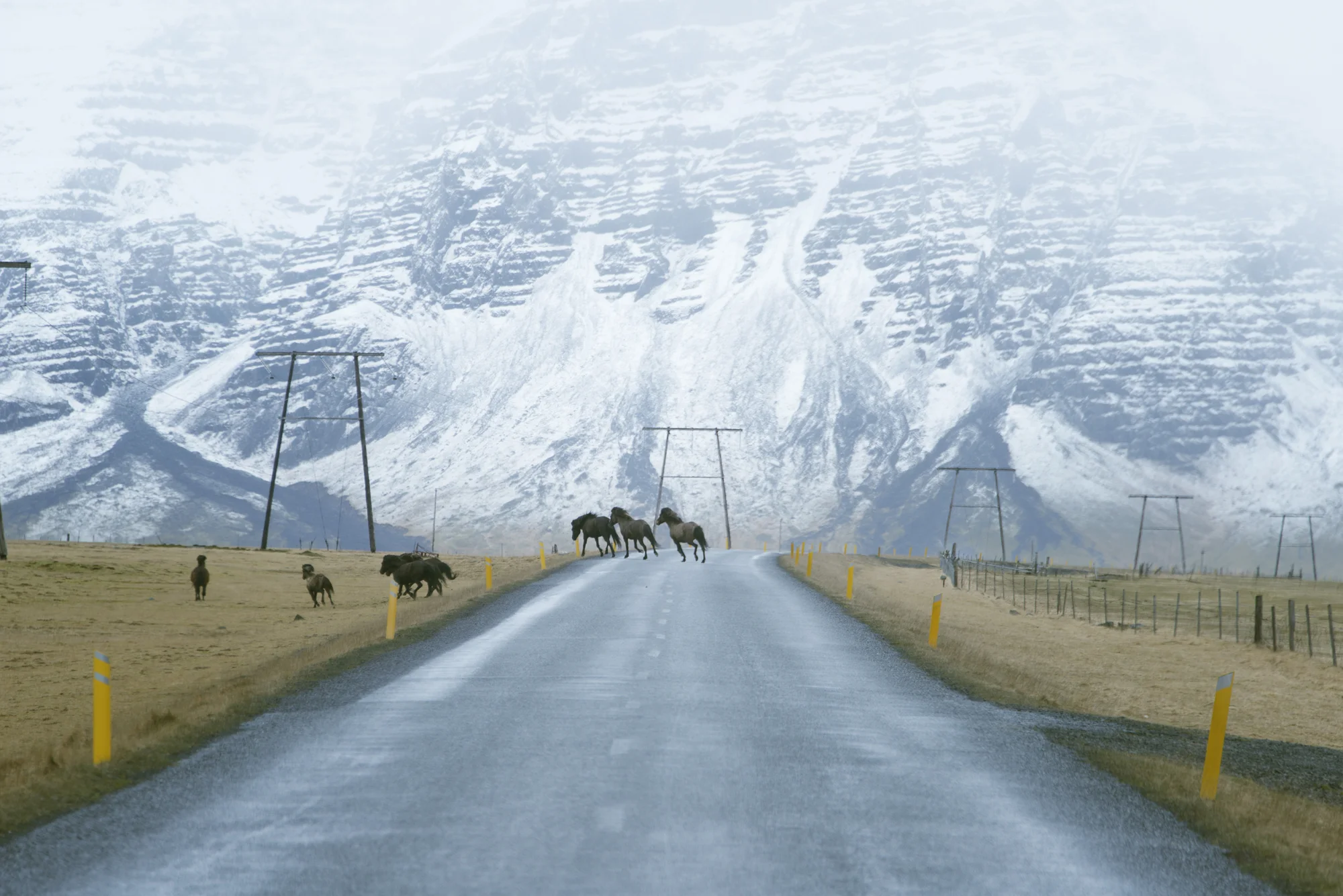 Outside Höfn, Iceland