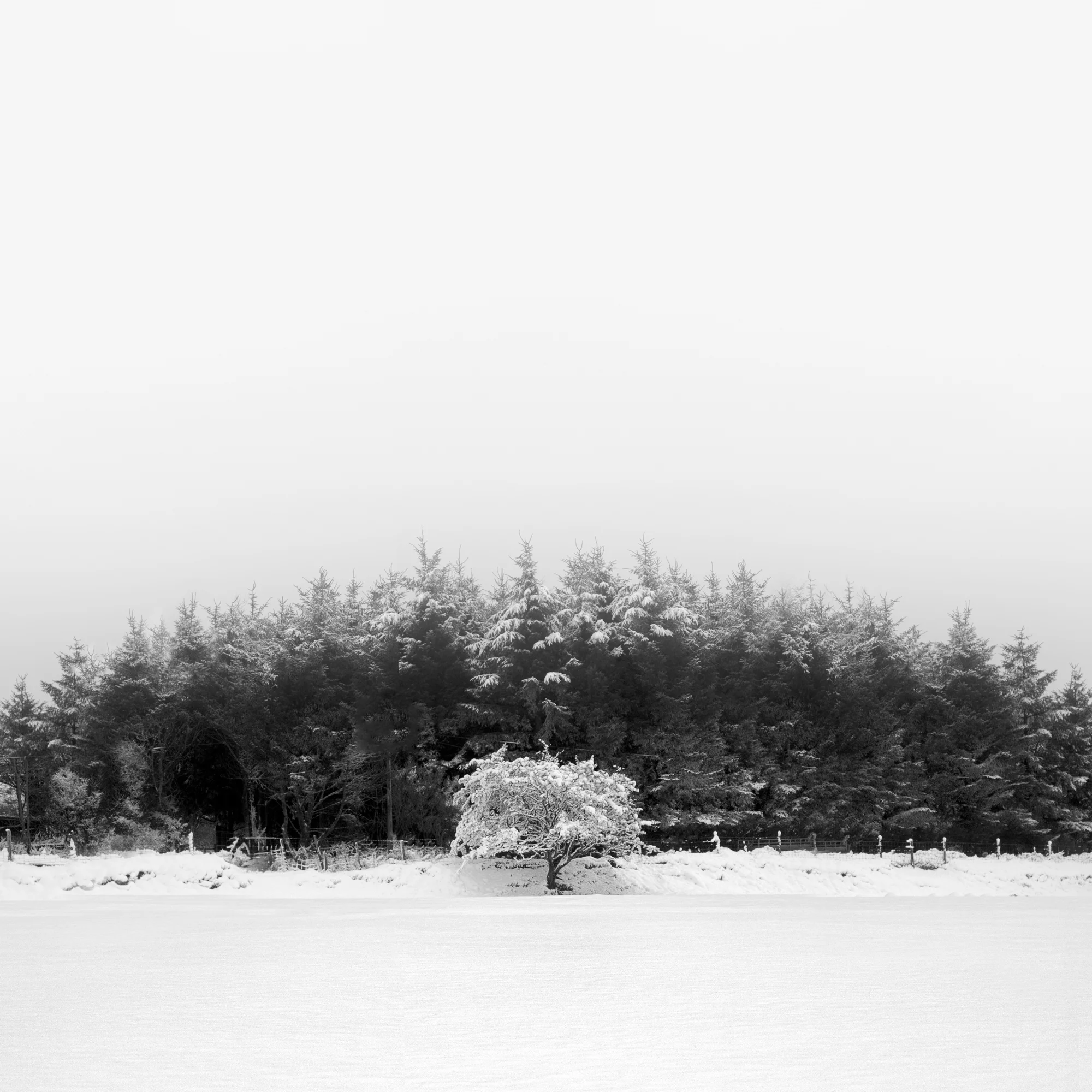 ello-optimized-56a6c146.jpg