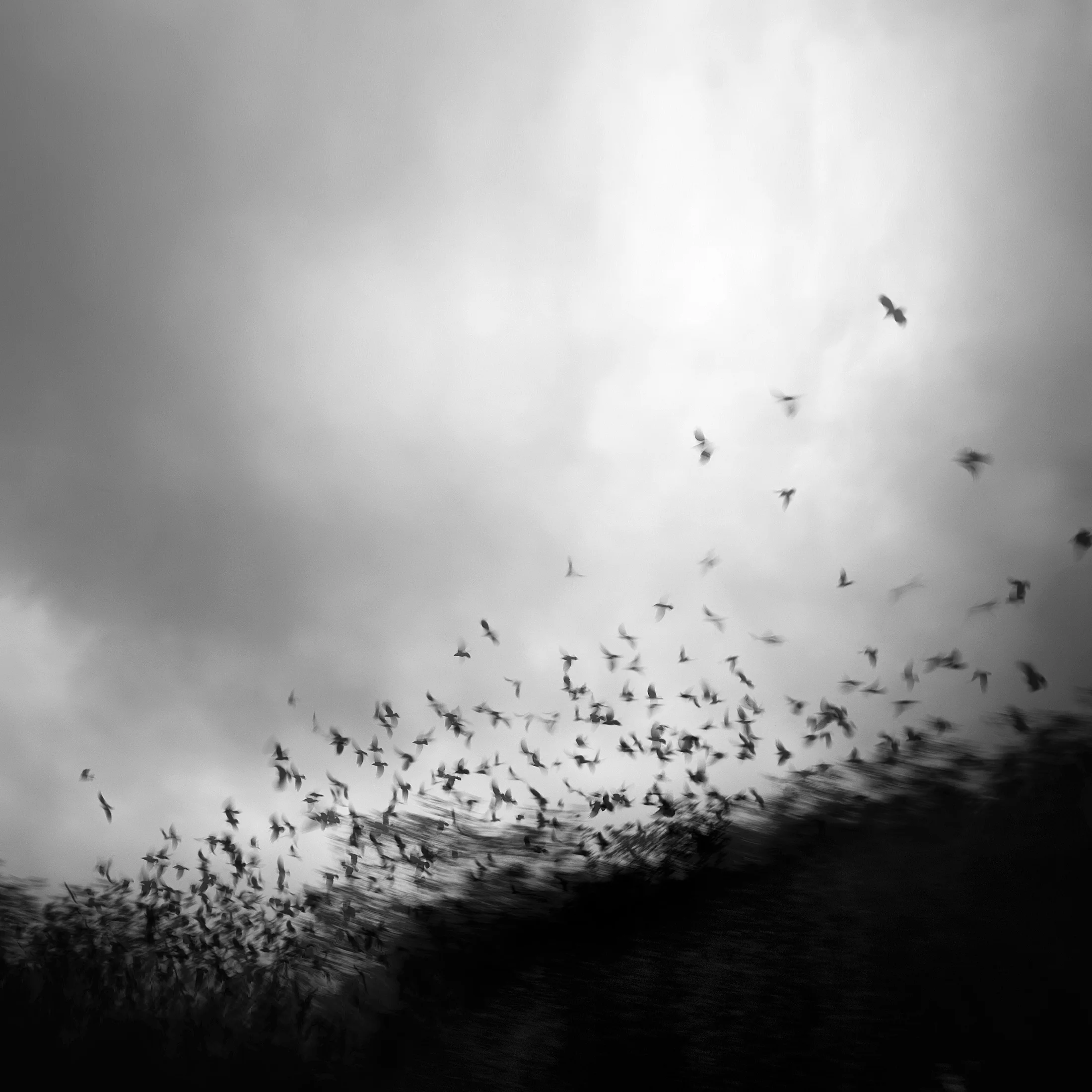 ello-optimized-fcf6b309.jpg