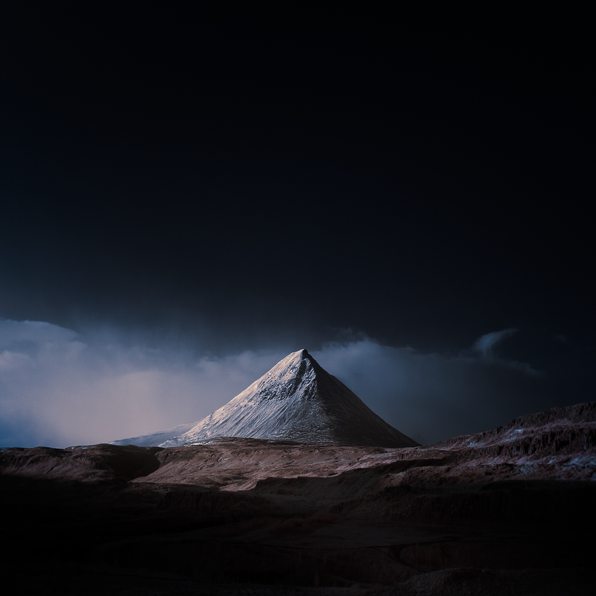 andy lee