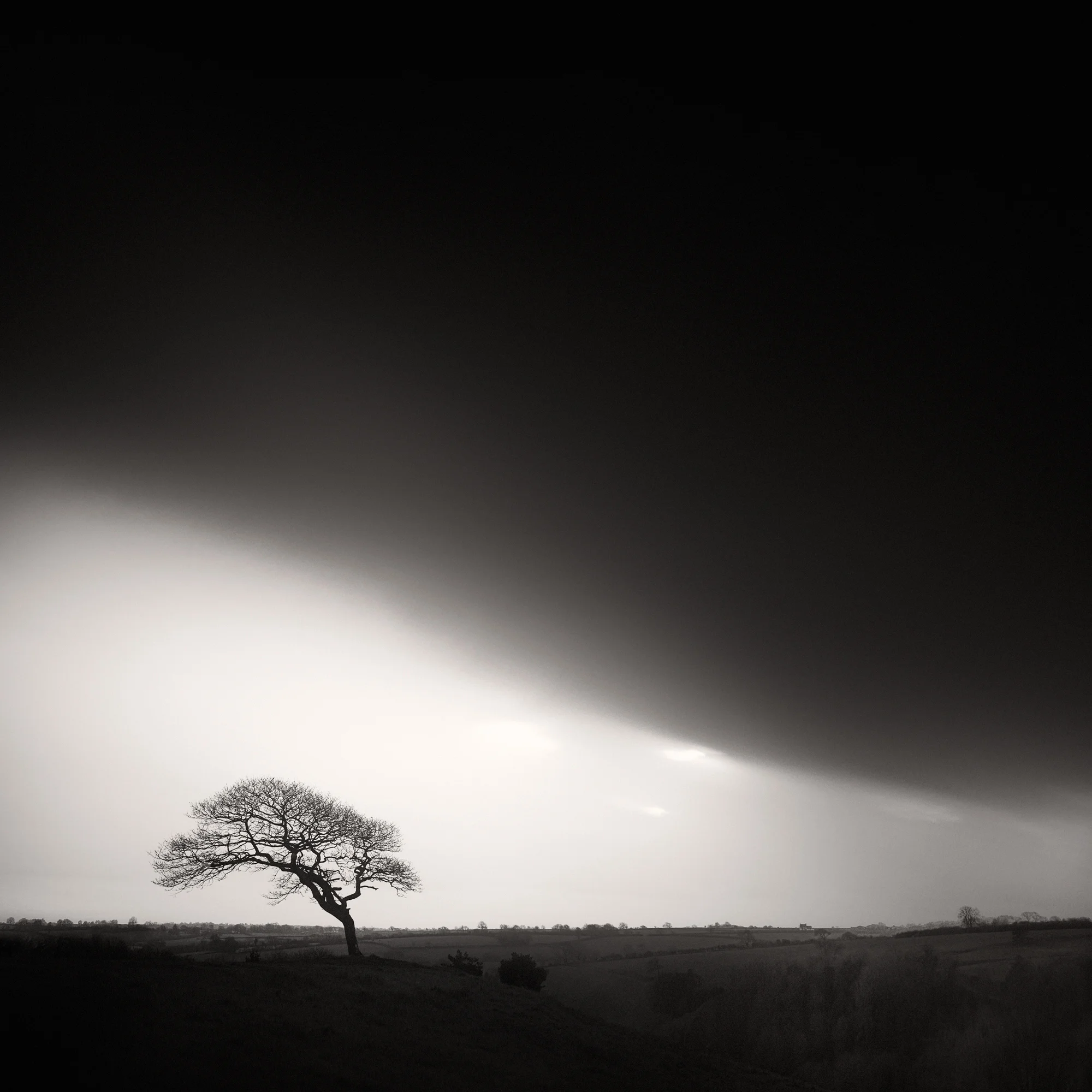 ello-optimized-e121ff00.jpg
