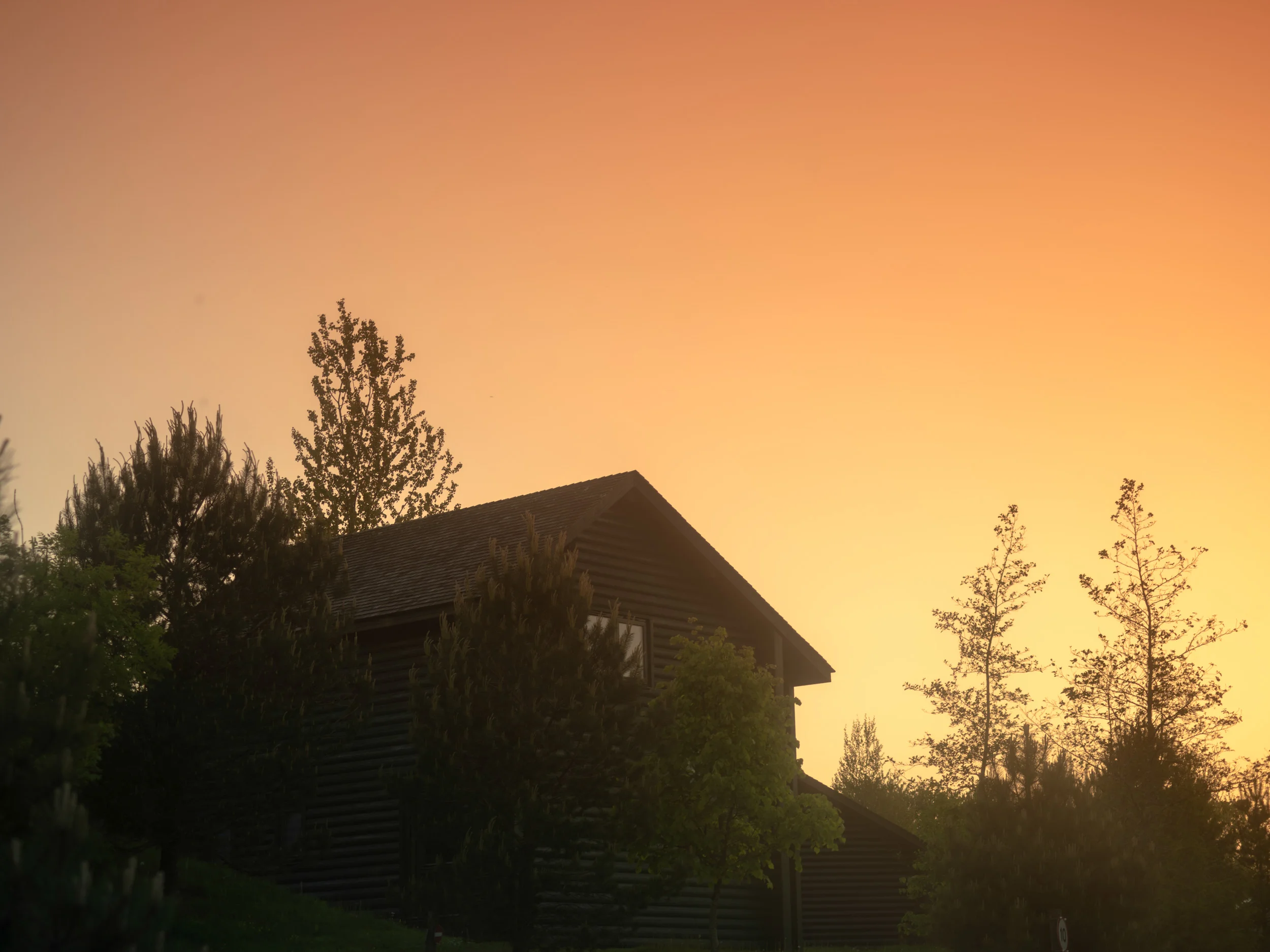 ALEE0027.jpg