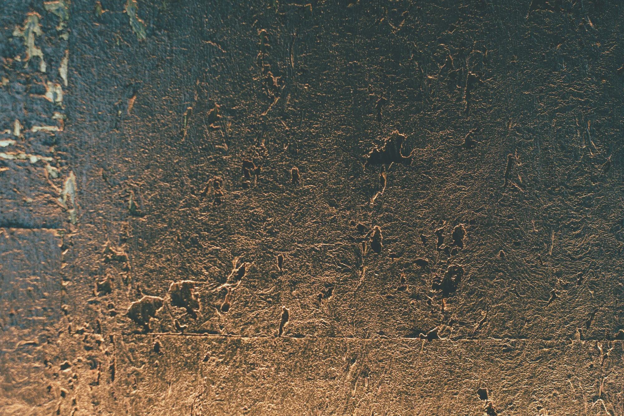 _DSF3641.jpg