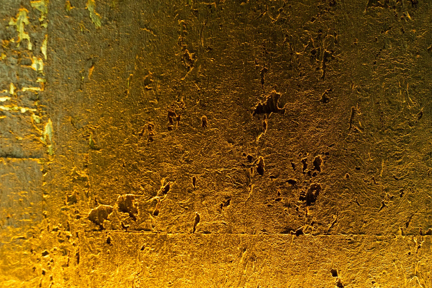 _DSF3641.jpg