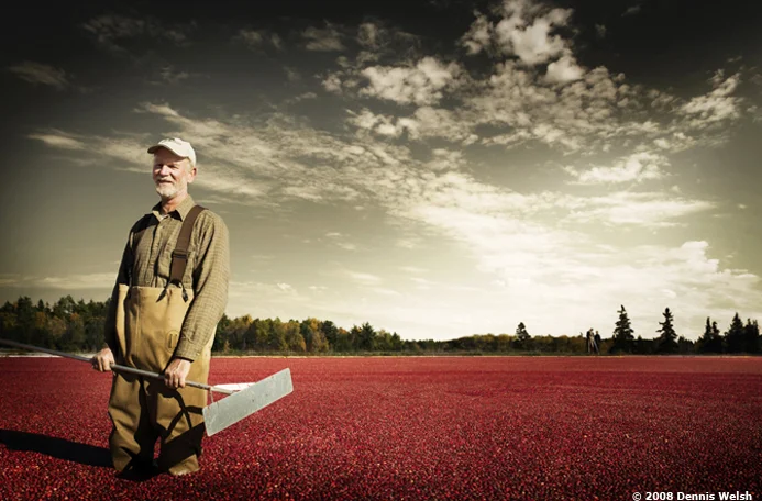 welsh-cranberrymain.jpg