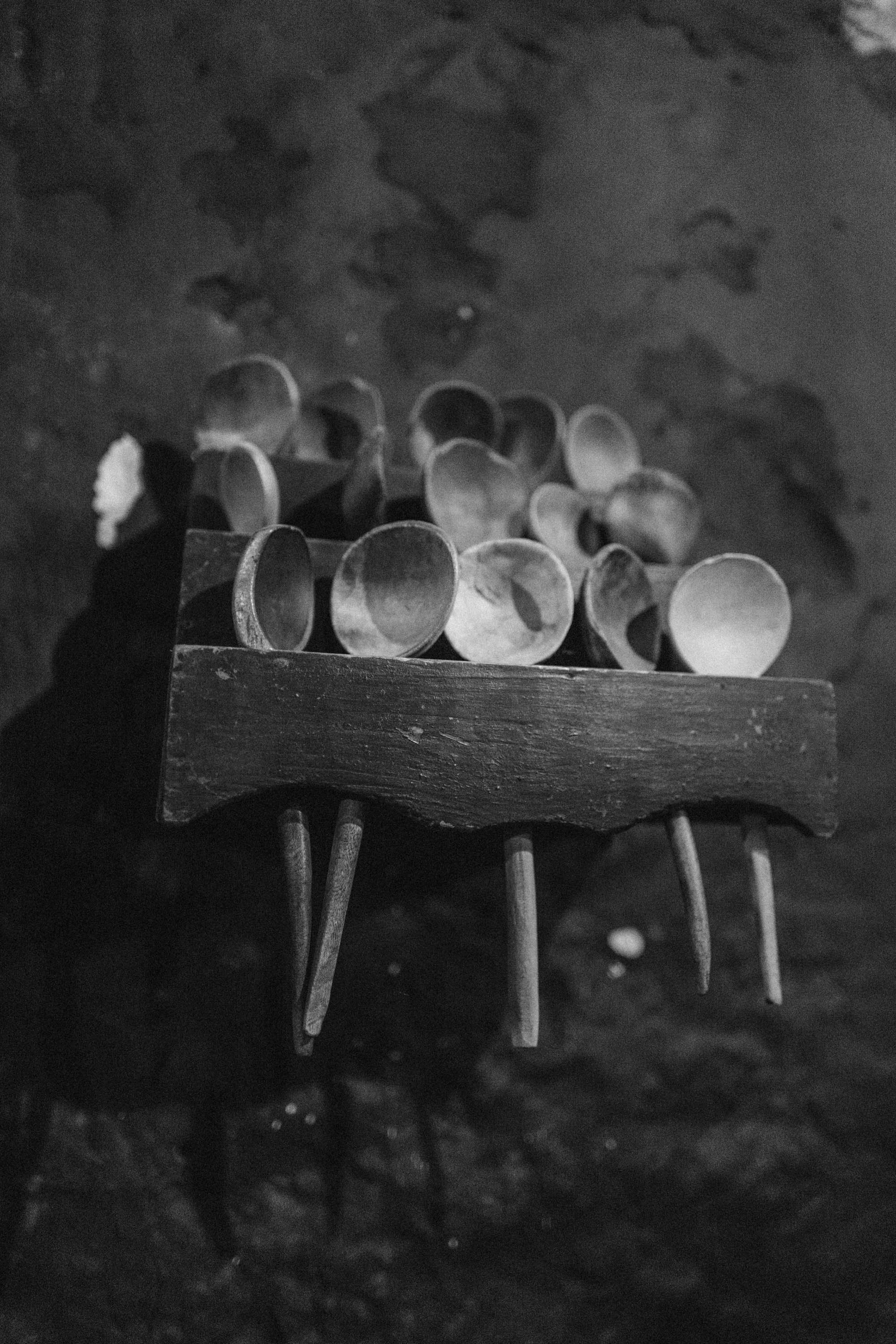 L1100248.jpg