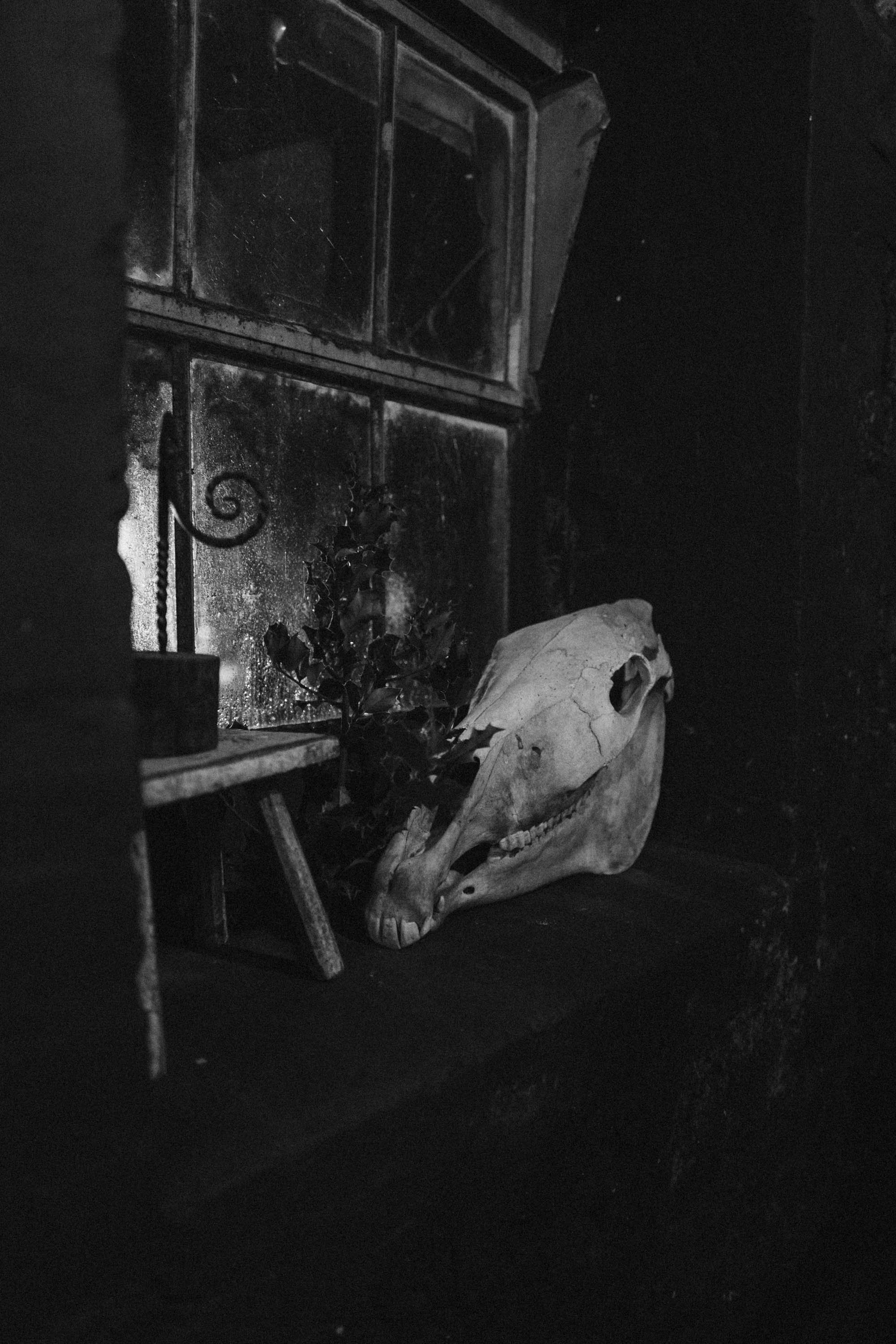 L1100249.jpg