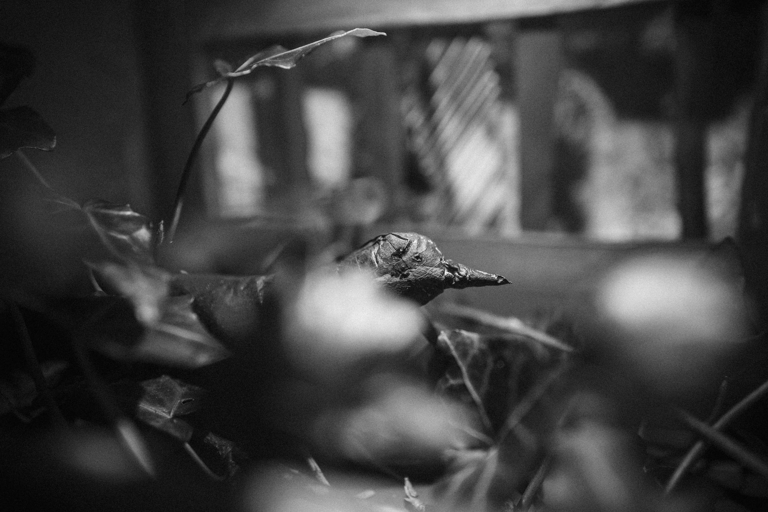 L1100414.jpg