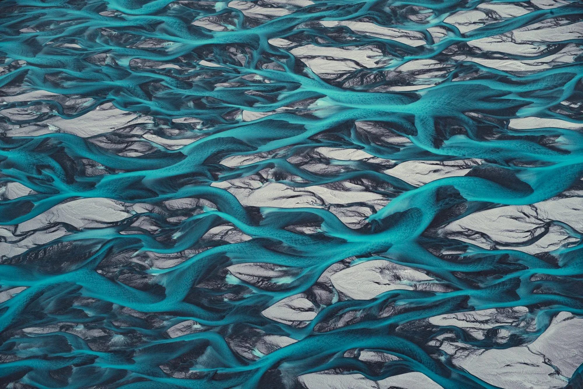 Behance_BloodLine_-5.webp
