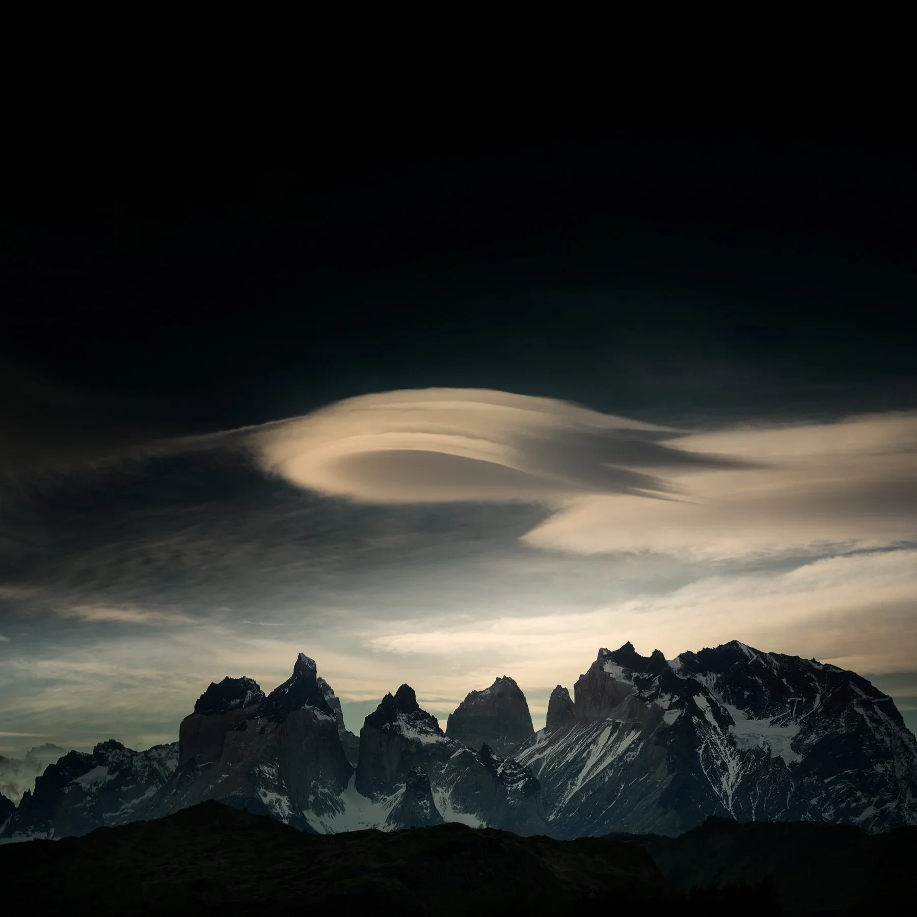 swirl_torres2.webp