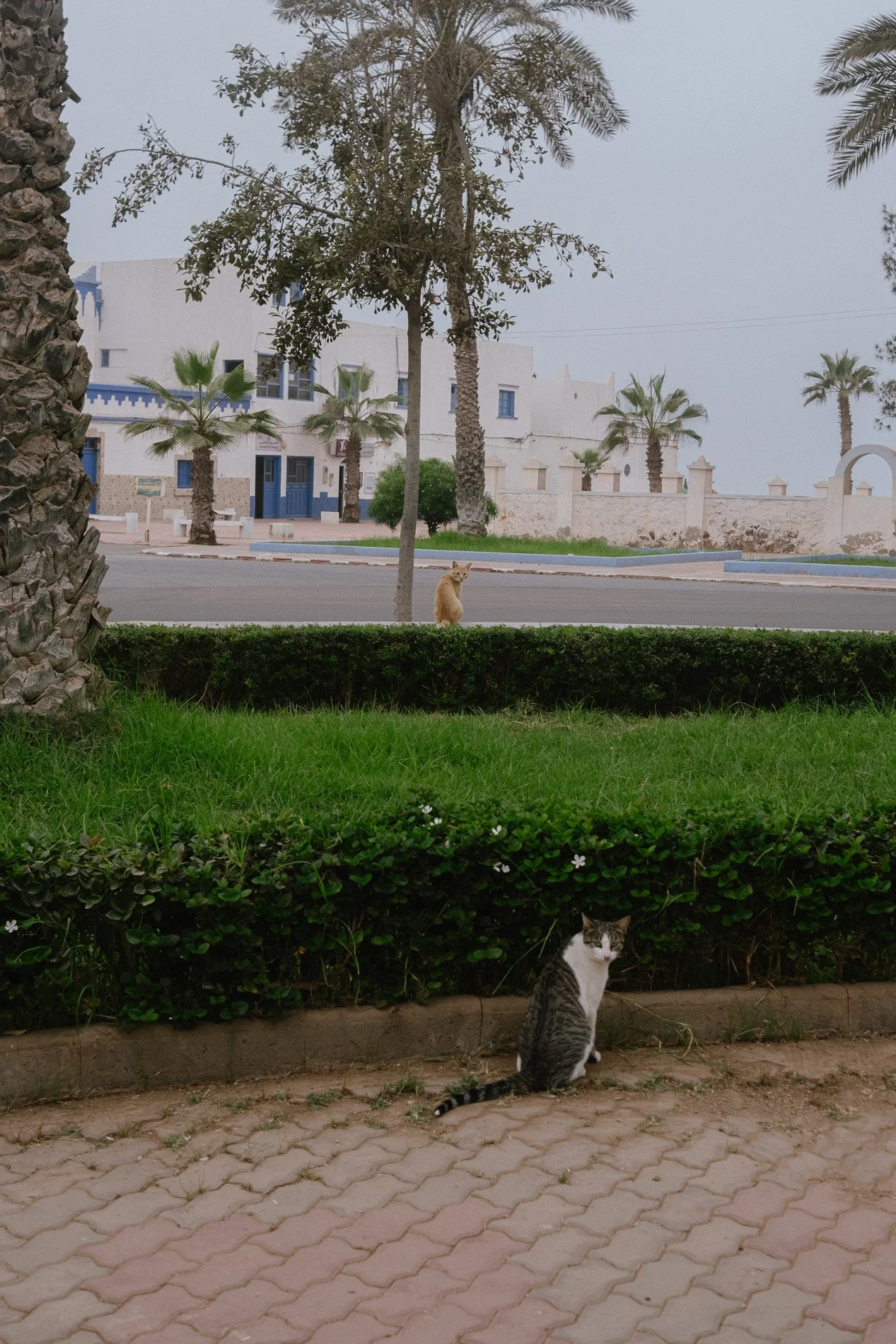Morocco_Web-DSCF3925.jpg