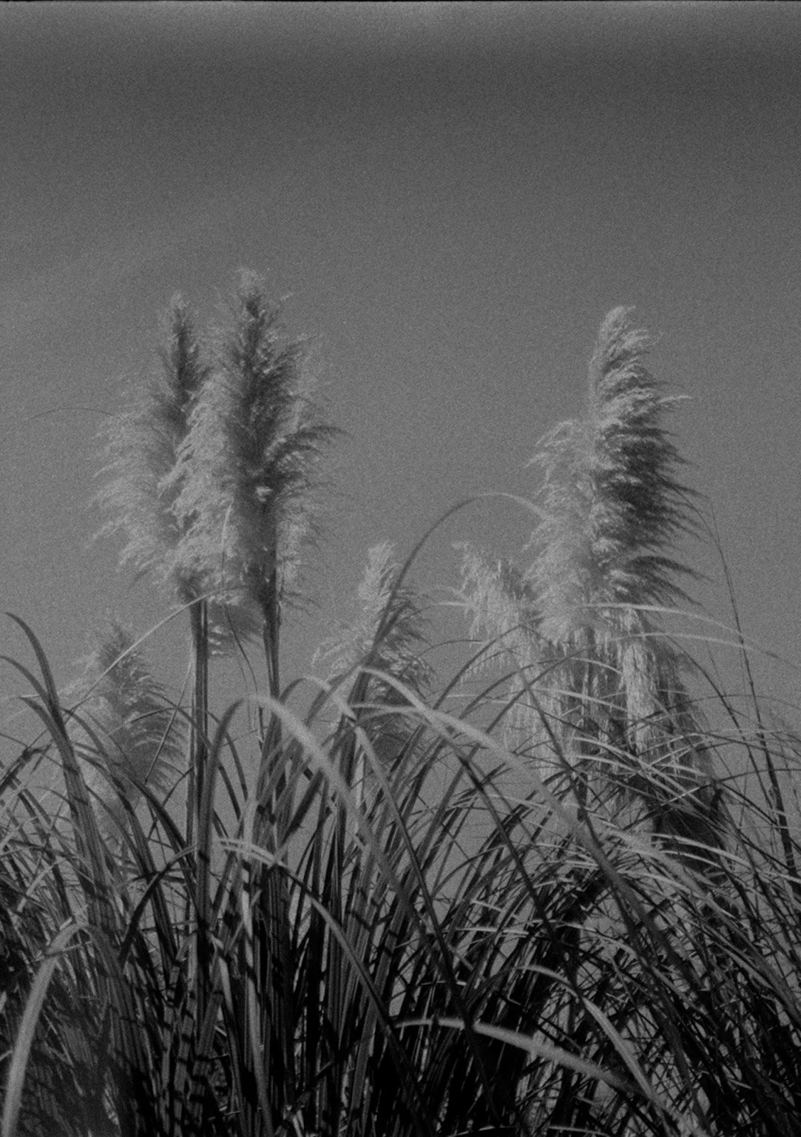 20220606-220531000062190029 - WEB.jpg