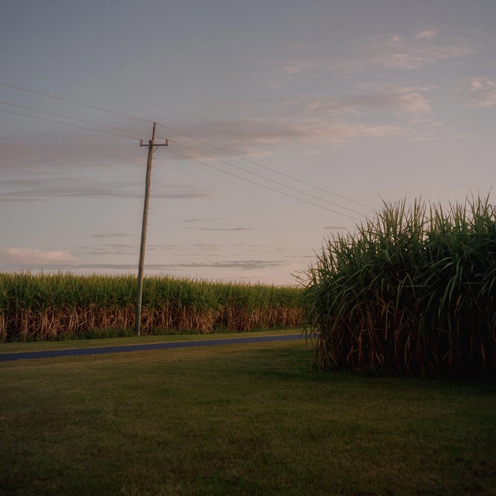 20220727-20220720-220720000074210007 - WEB.jpg