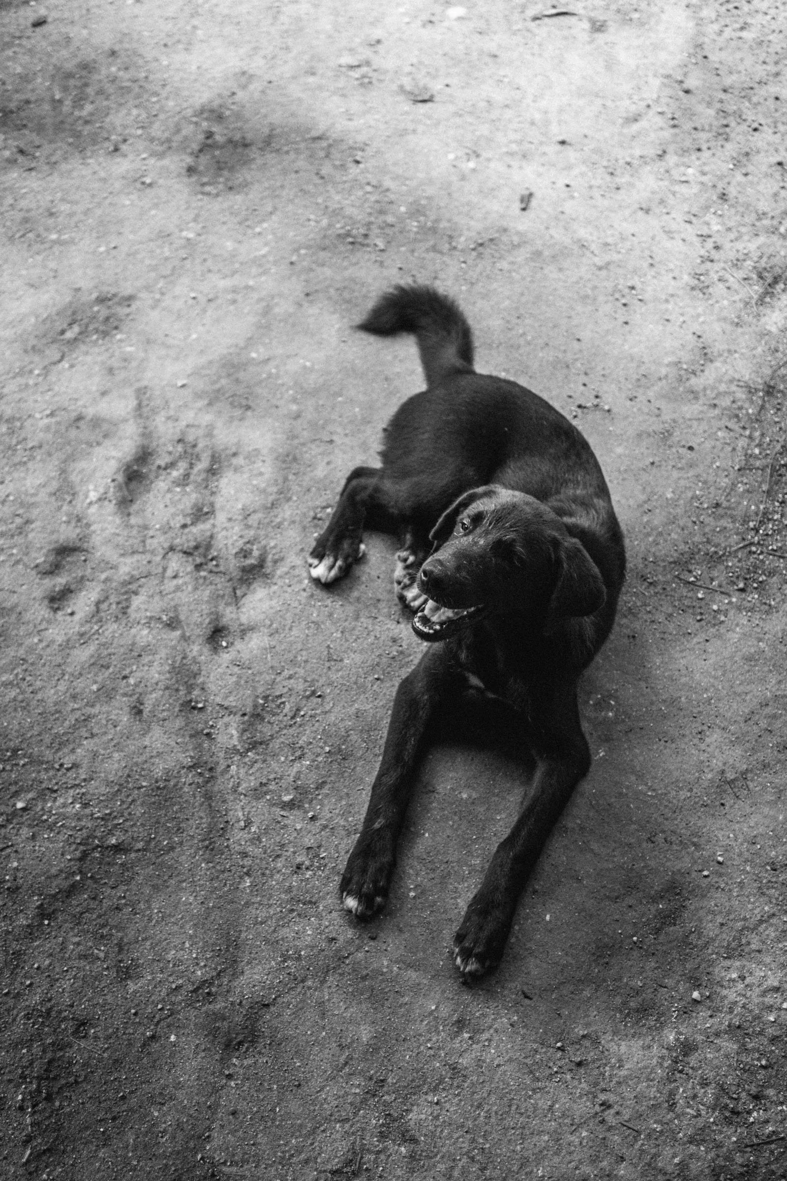 DSCF2177Thailand 2025.jpg