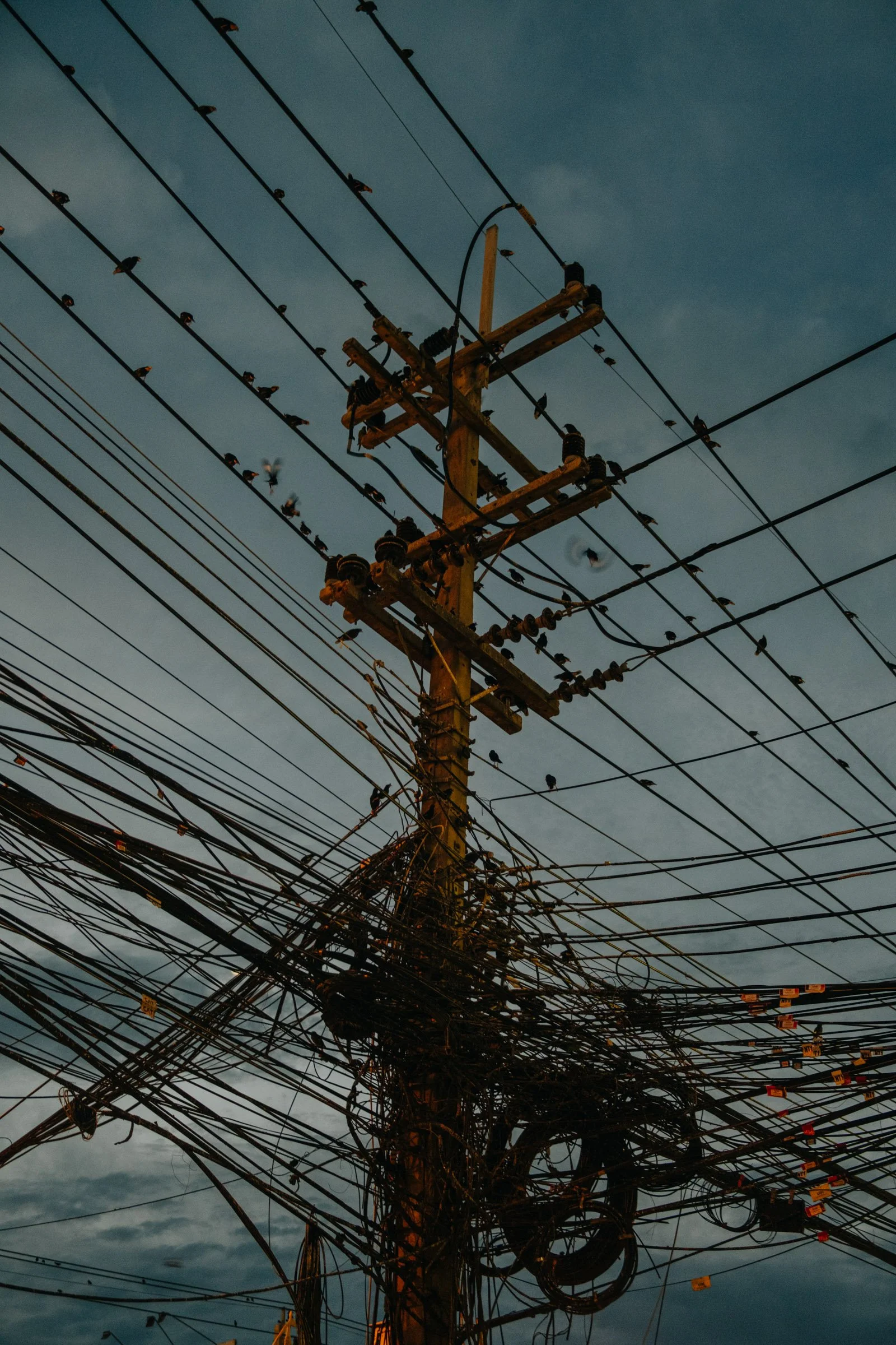 DSCF1898Thailand 2025.jpg