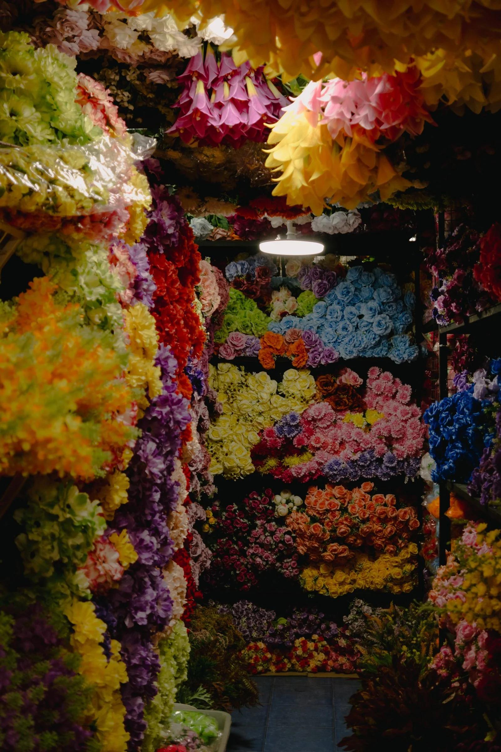 DSCF0462Thailand 2025.jpg