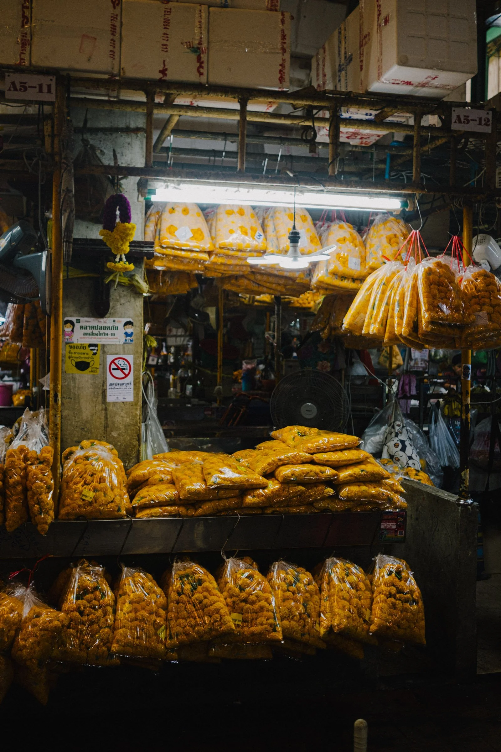 DSCF9936Thailand 2025.jpg