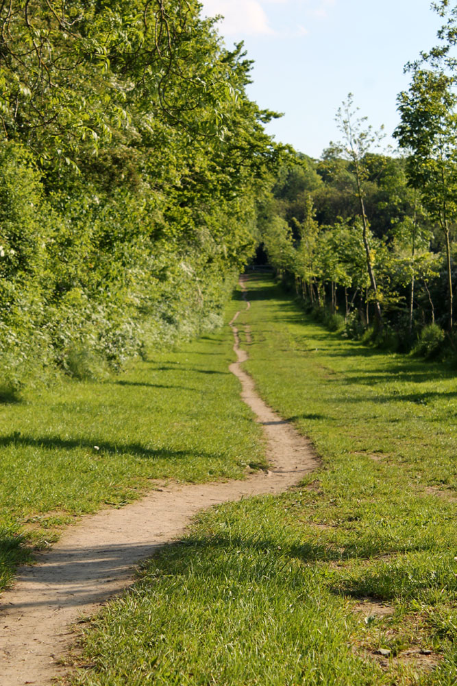 _Wobbley_path_.jpg