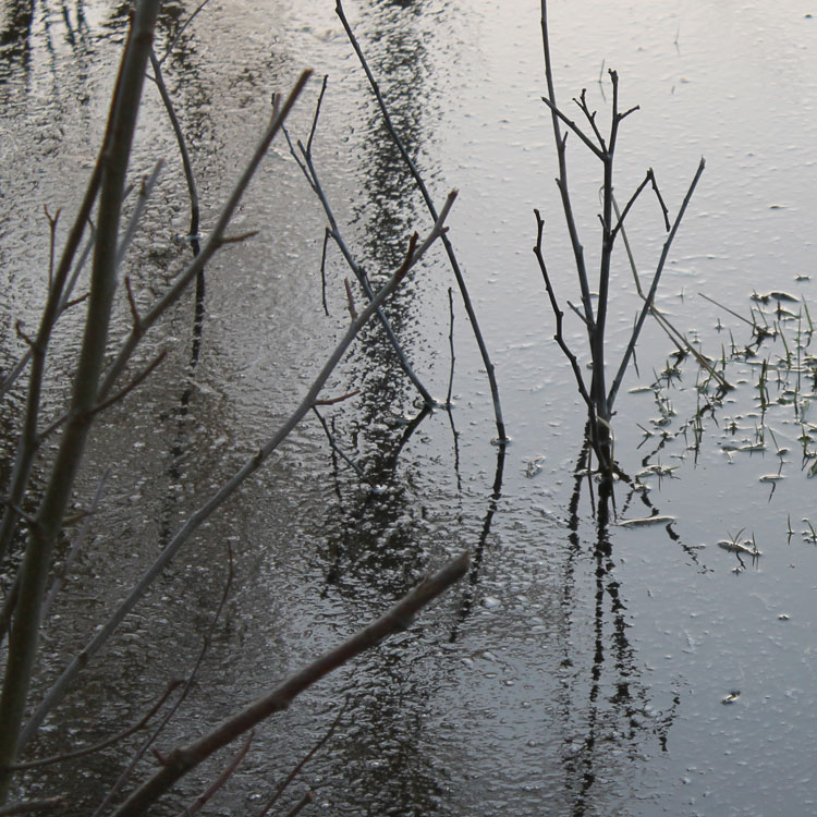 Mud-in-the-Moat_.jpg