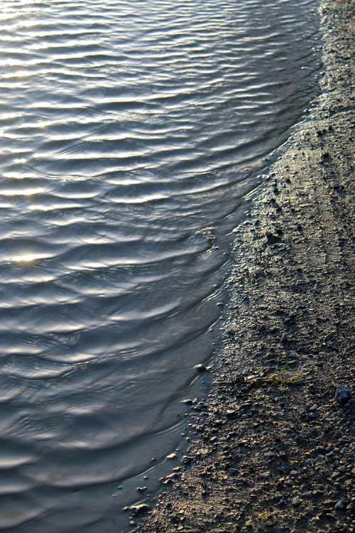 English_Puddle_.jpg