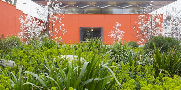 Maggie's West London - Rogers Stirk Harbour + Partners